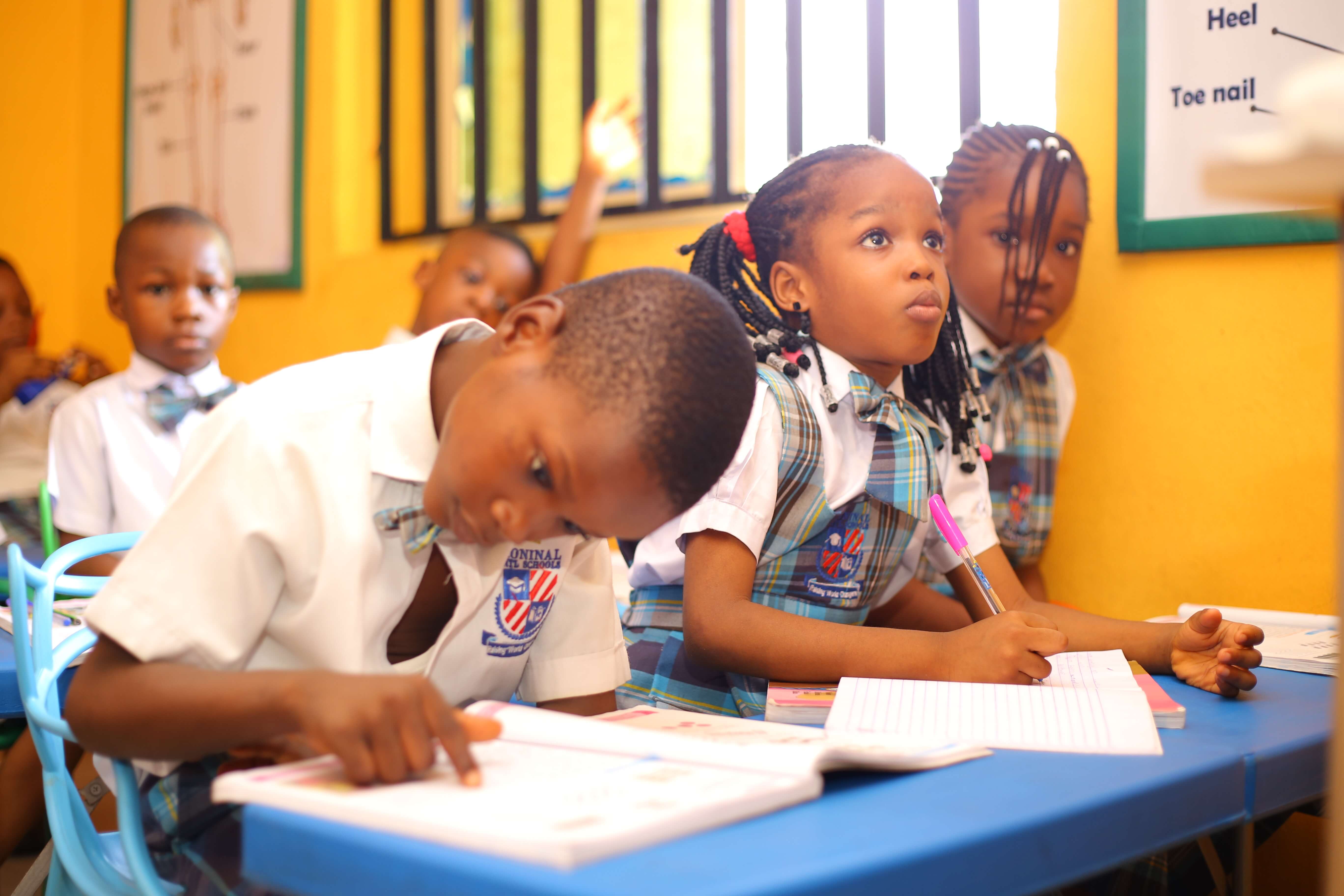 Image from ./storage/images